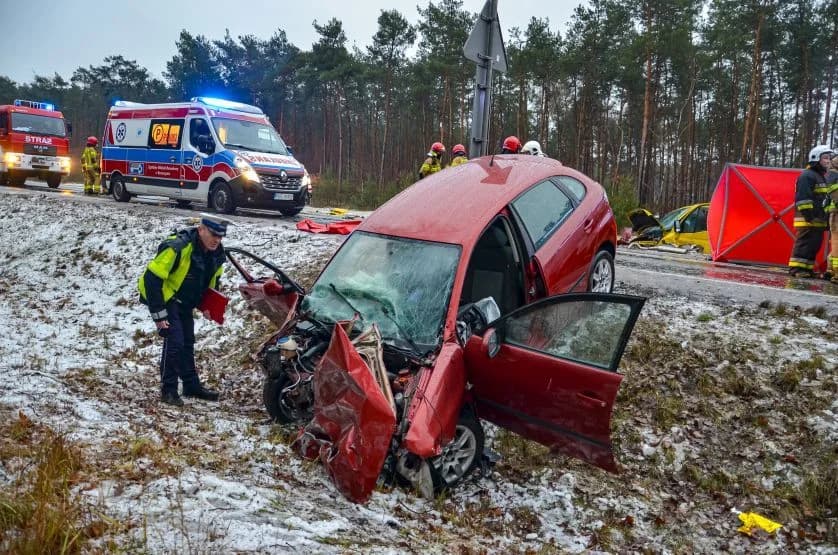 Zderzenie busa z autem osobowym na DK 12 w Brzostowie. Jedna osoba jest zakleszczona [ZDJĘCIA]