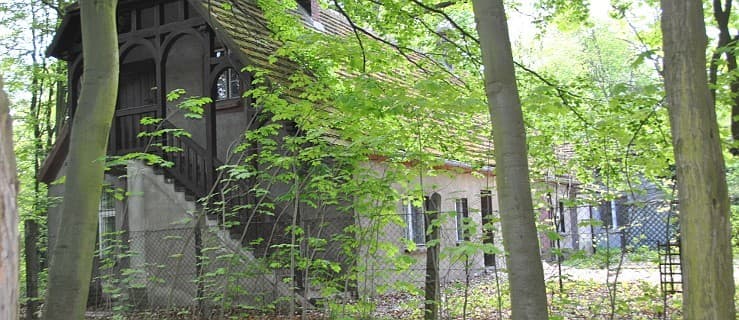 Prywatny przedsiębiorca pobuduje restaurację w parku