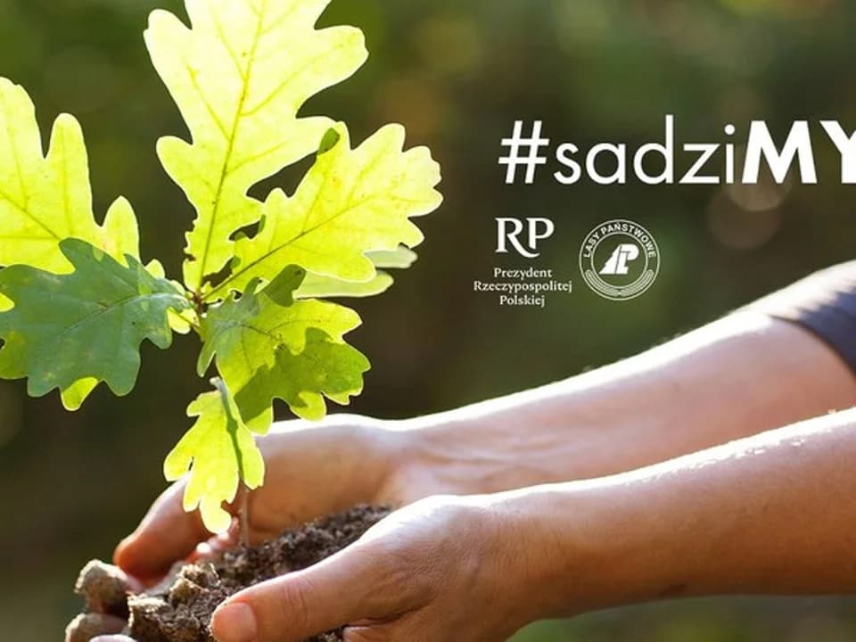 Ogólnopolska akcja #sadziMY również w Jarocinie. Dziś i jutro można otrzymać drzewko