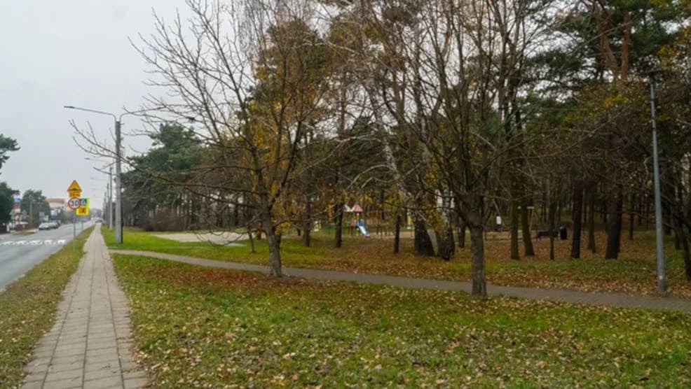 Ruszyły prace przy zagospodarowaniu zieleni w parku przy ul. Szubianki w Jarocinie