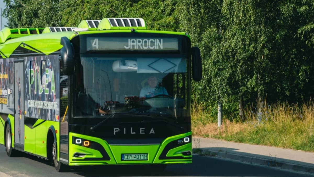 Bilet autobusowy przez telefon. Spółki JLA i Trans Pegaz uruchomiły nową usługę - jak ona działa?