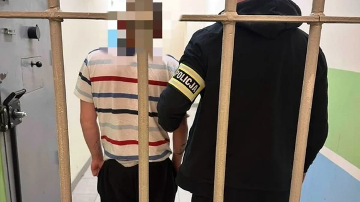 Groził bratu siekierą. Sąd w Jarocinie postanowił o losie 35-letniego mężczyzny