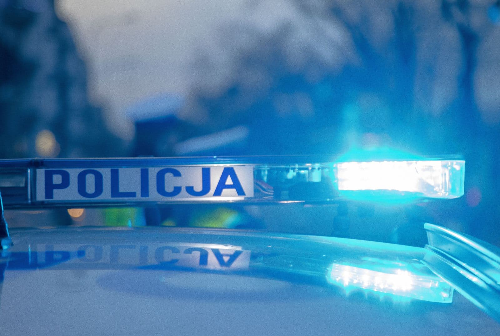 Sarna wbiegła na drogę. Kierowca BMW hamował. W jego auto wjechała ciężarówka
