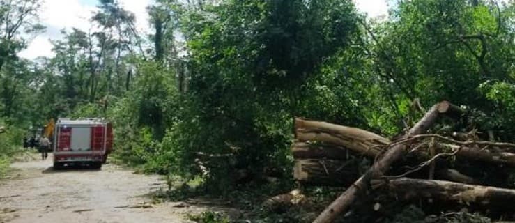 Dwa lata sprzątają skutki huraganu. ZOBACZ, gdzie nadal obowiązuje zakaz wejścia do lasu