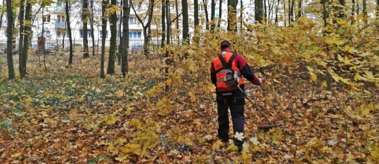 Ekipa wycinająca park w Jarocinie odkryła to [ZDJĘCIA]