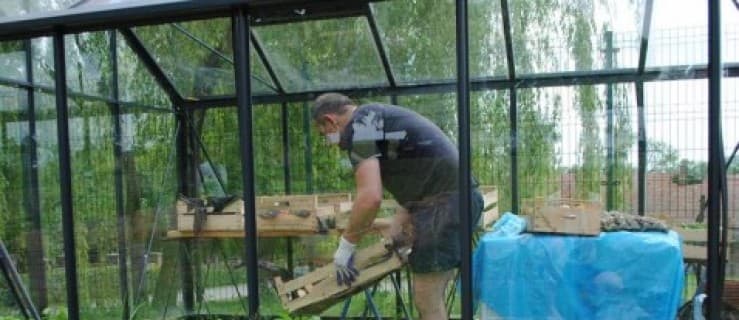 Ludzie mylą zdrową żywność z ekologiczną