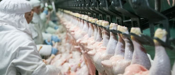 Ubojnia poszukuje ludzi do pracy. Sprawdź kogo