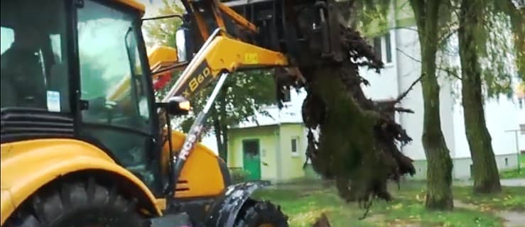 Sprzątanie po orkanie Ksawerym [WIDEO]