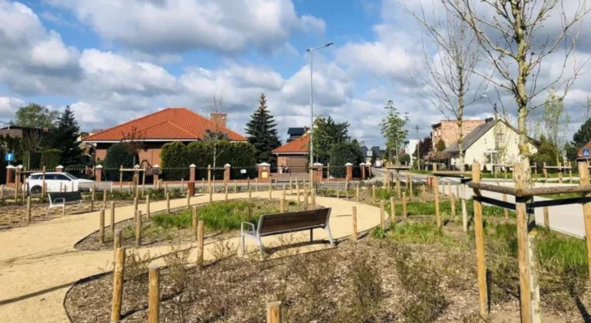 Ponad 100 drzew ma zostać posadzonych na terenie gminy Jarocin do końca roku