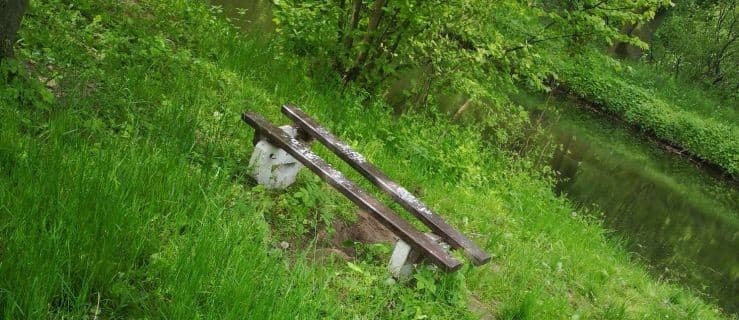 Zniszczone ławki w parkach. Urząd apeluje [GALERIA]