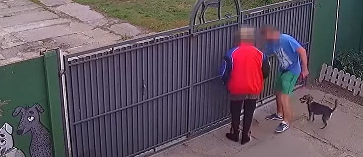 Prokurator stawia zarzuty za podrzucenie psa do schroniska w Radlinie