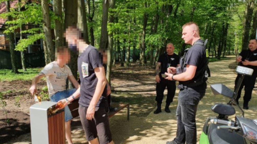 Jarocin. Tylko jedna firma zgłosiła się do ochrony parku i amfiteatru
