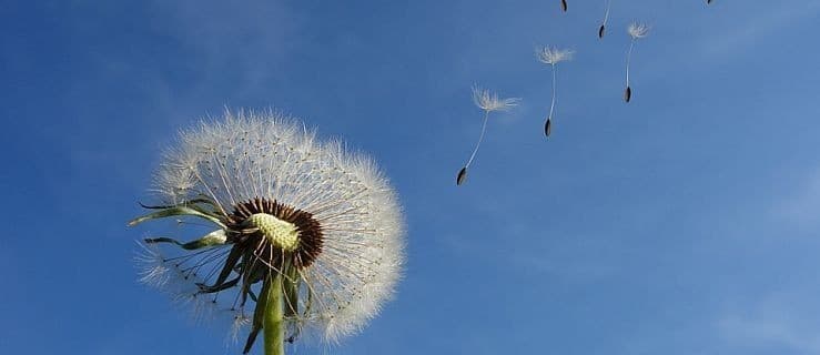 Porywy wiatru nawet do 100 km/h! Synoptycy ostrzegają