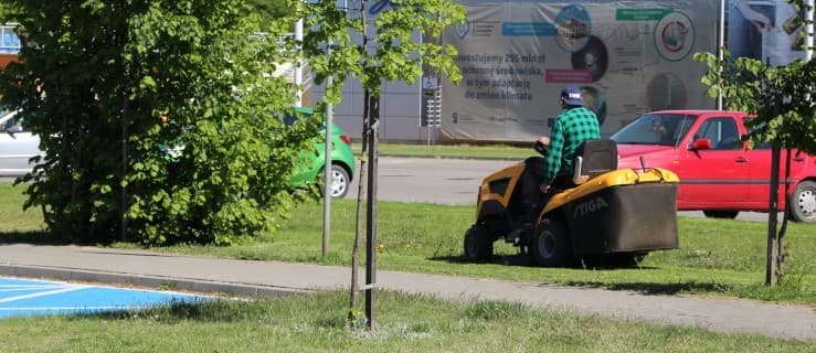 Mieli nie kosić trawników, a jednak koszą - dlaczego?