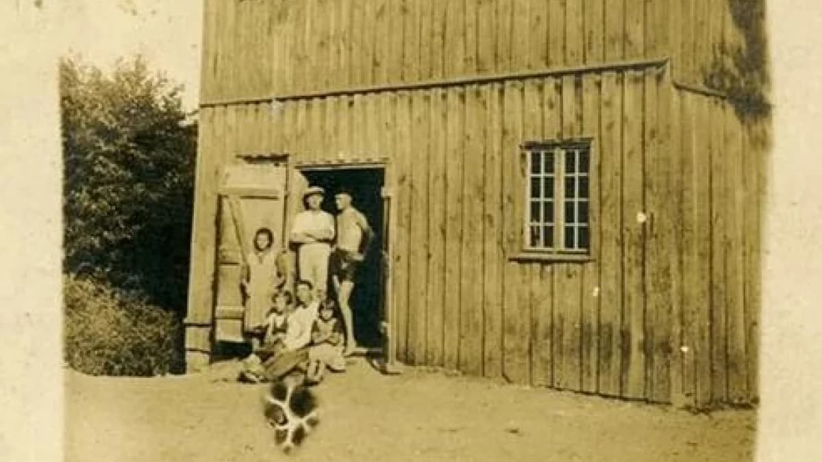 Wybuch! Józek umiera! Kobieta biegnie do szpitala. Niesamowita historia Młyna nad Lutynią