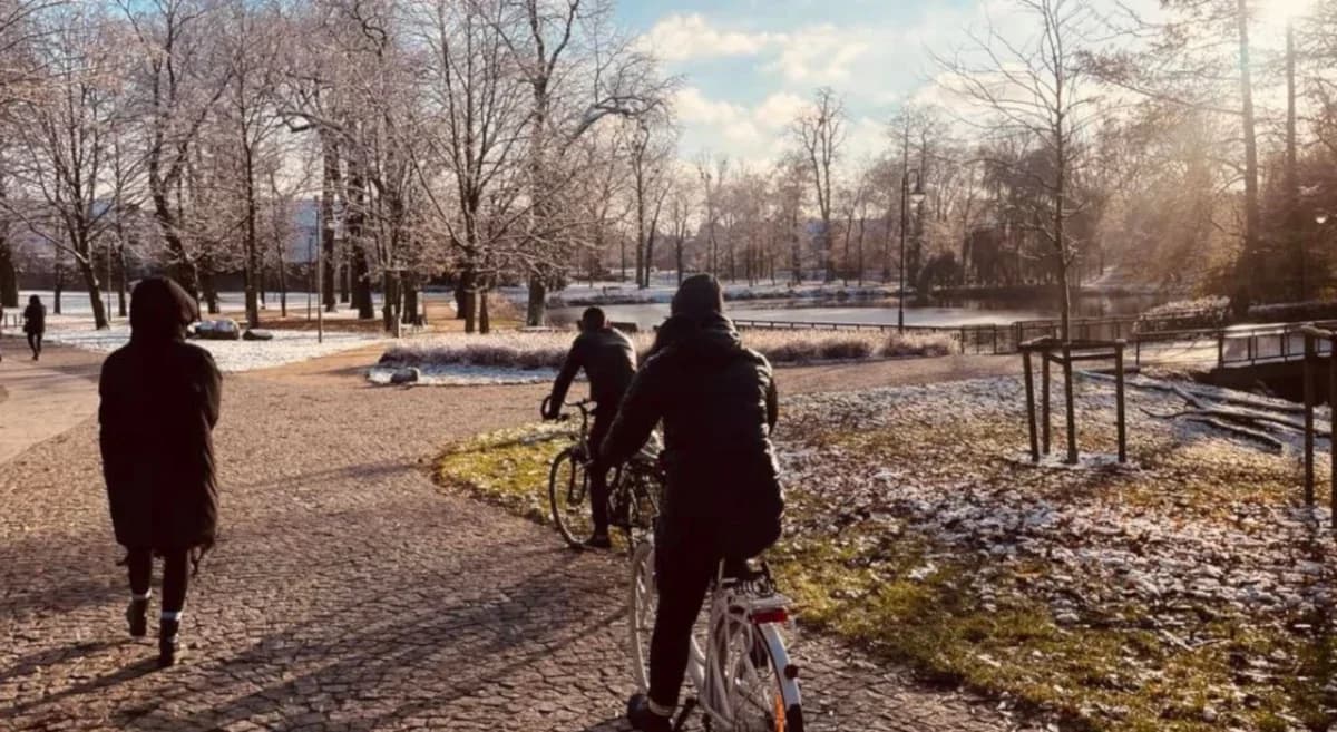 Trwają prace ziemne na terenie jarocińskiego parku i nie tylko. Urząd miejski apeluje o ostrożność