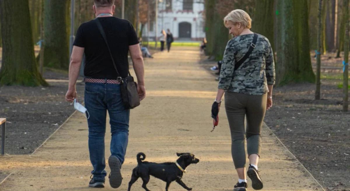 Kolejne prace w parku Radolińskich w Jarocinie. Tym razem przy drzewostanie