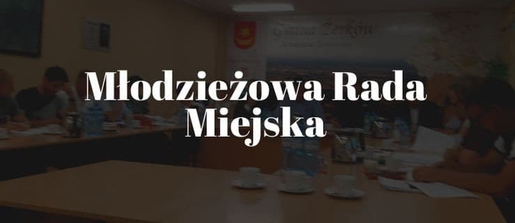 Wkrótce gminą zacznie rządzić Młodzieżowa Rada Miejska. Zobacz, gdzie?