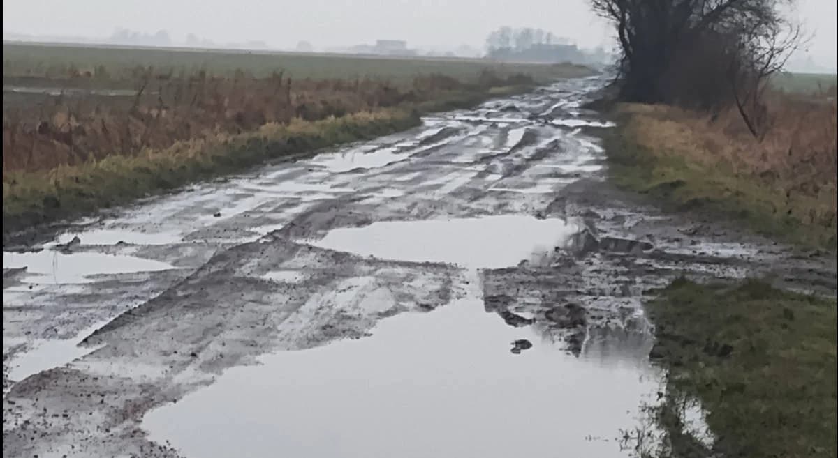 Mieszkańcy ulicy Zakrzewskiej w Jarocinie topią się w błocie i apelują o pilny remont drogi