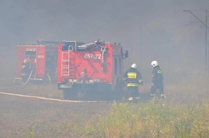Zaczęły się niebezpieczne pożary traw. Żywioł gwałtownie się rozprzestrzenia. Już są ofiary śmiertelne [ZDJĘCIA] 1