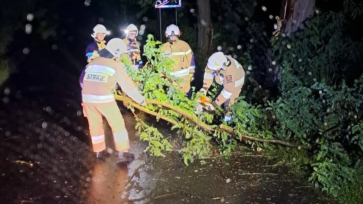 Gwałtowna burza w Jarocinie i okolicy. Zerwany dach, powalone konary drzew