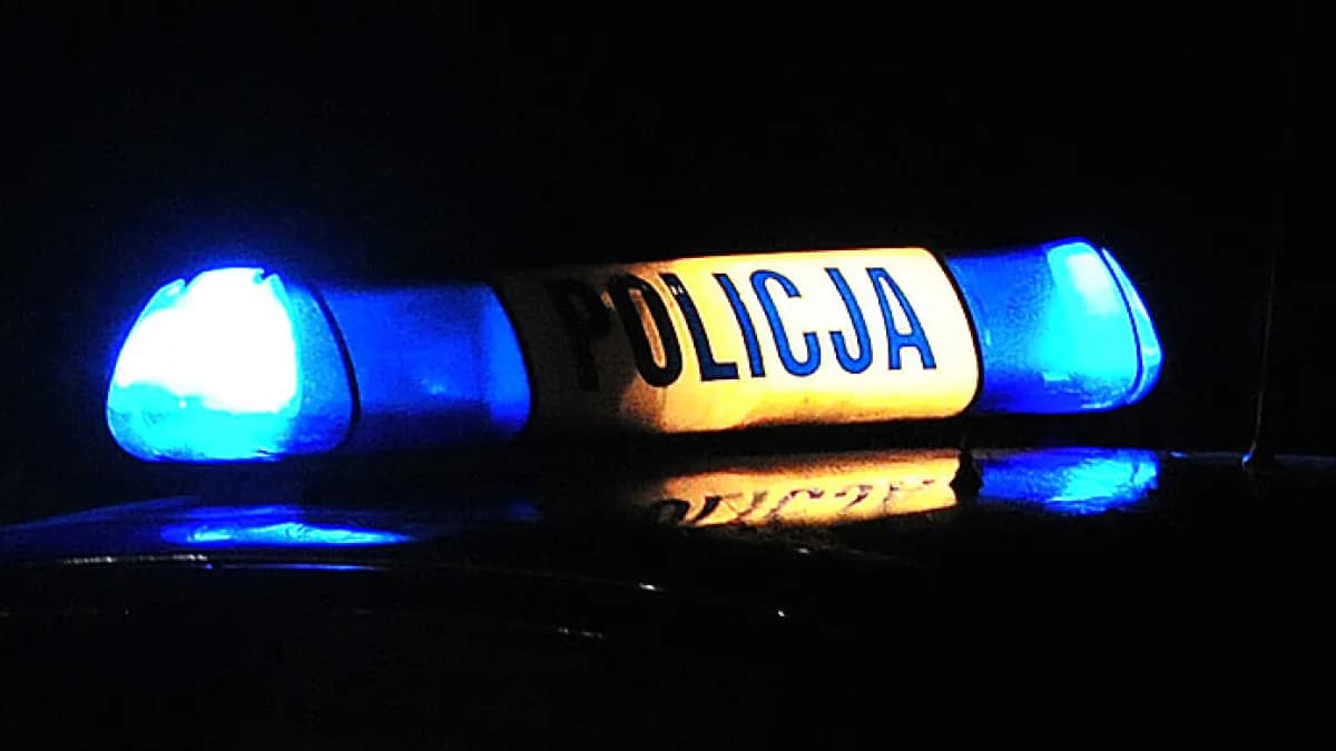 Zderzenie motorowerzysty z koniem w Mieszkowie. Jedna osoba trafiła do szpitala