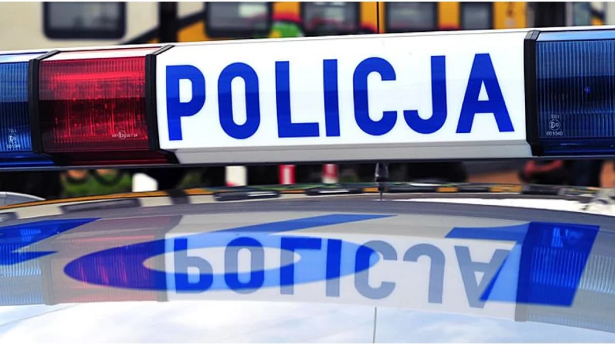 Apteczka pełna narkotyków zamiast bandaży – marihuana i amfetamina