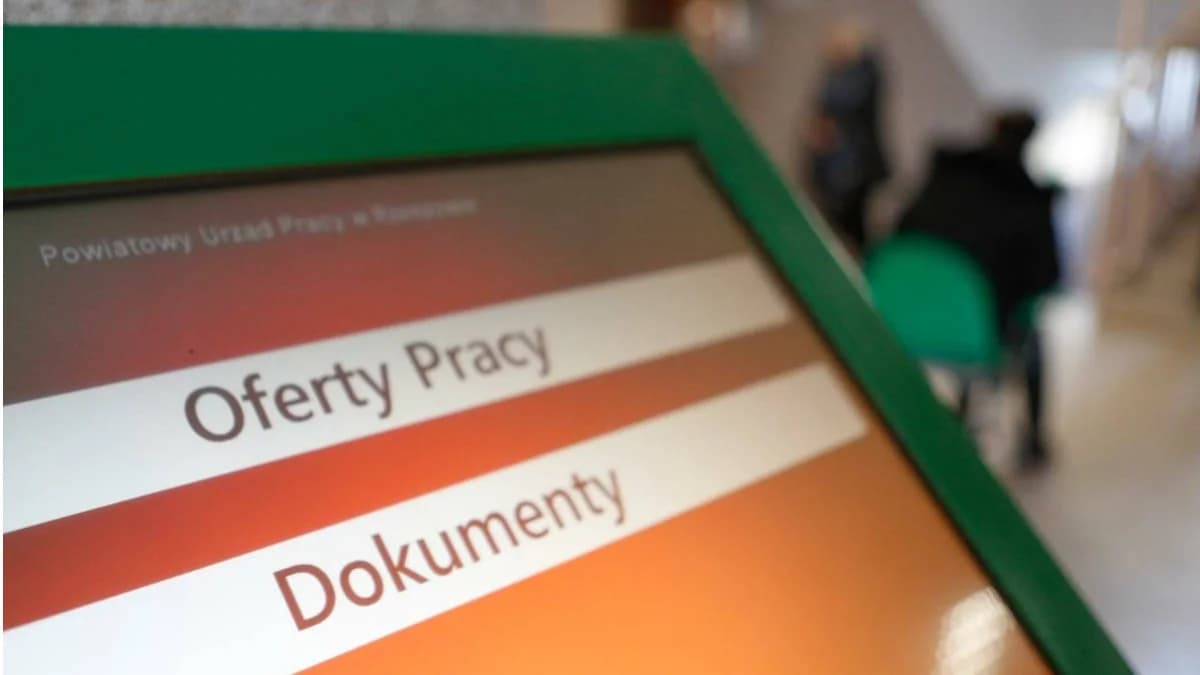 Uwaga, jest praca z dobrym wynagrodzeniem. Kogo szukają pracodawcy i co oferują?