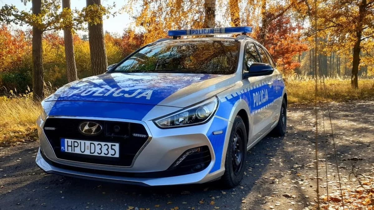 Pijany staranował znak drogowy. Dalszą jazdę uniemożliwił mu inny kierowca