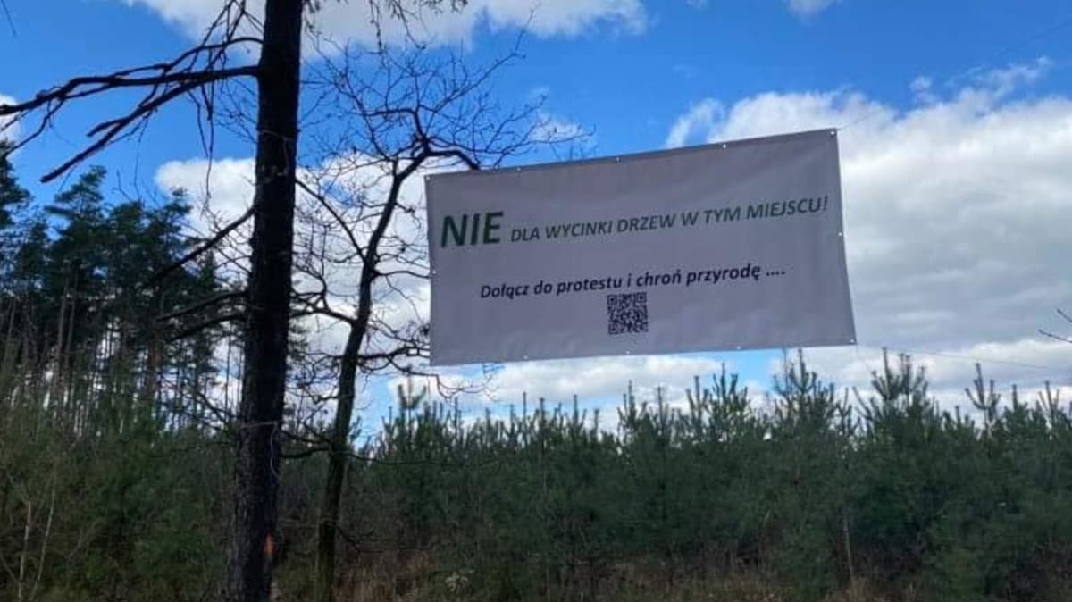 Grupa mieszkańców protestuje przeciwko wycinaniu drzew pod drogę Cielcza - Wilkowyja [GALERIA]