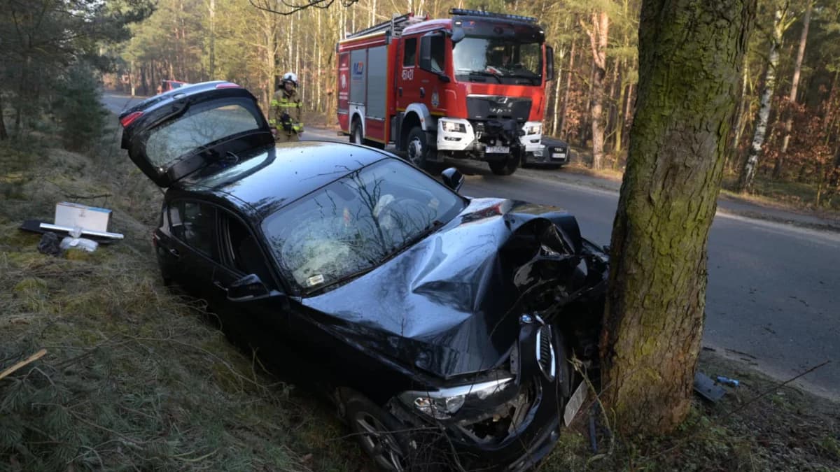 BMW uderzyło w drzewo w Wilkowyi. Jedna osoba ucierpiała