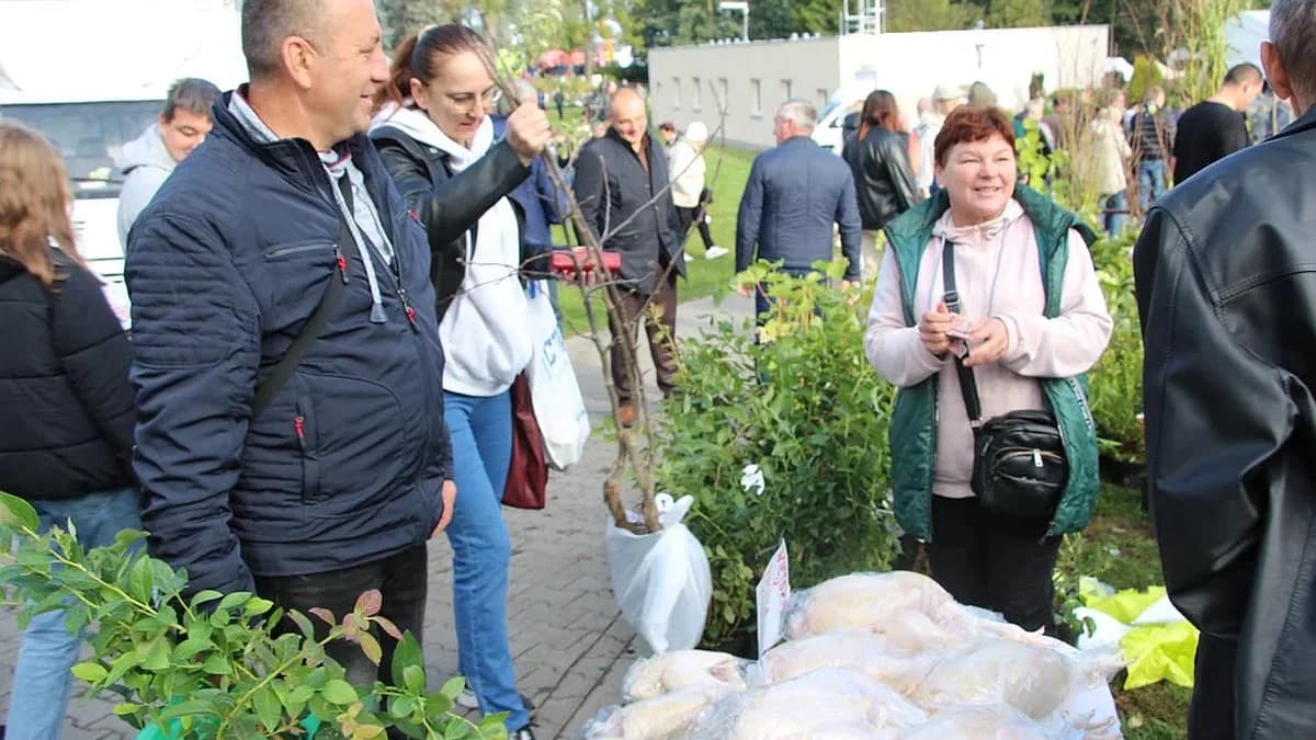 Zbliża się AGROMARSZ 2025 w Marszewie. Zobacz program, sprawdź gdzie zaparkować [MAPA]