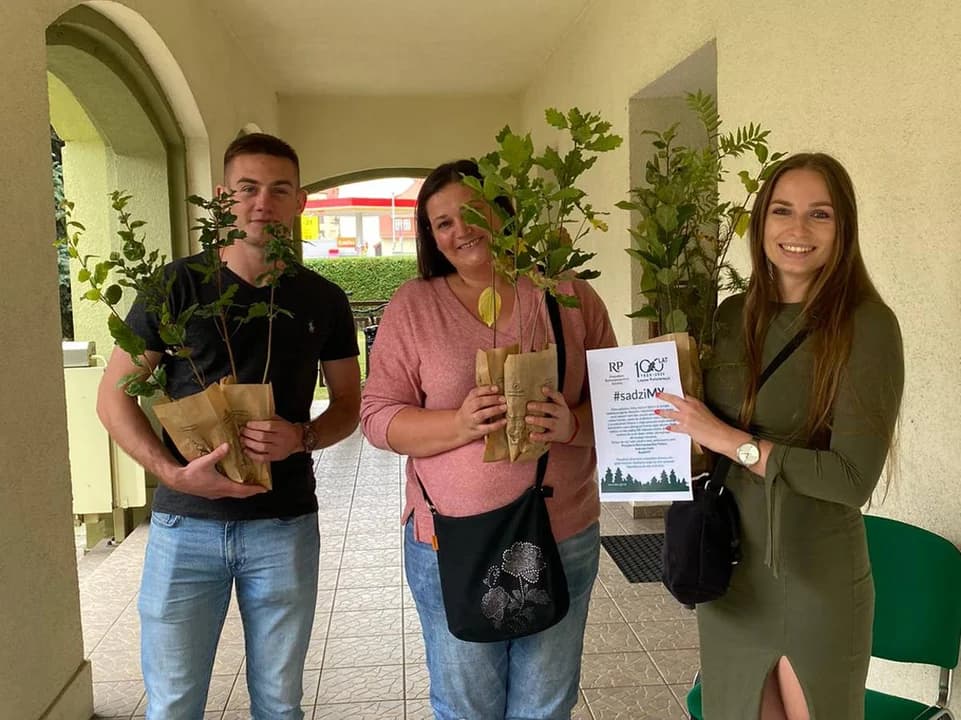 Darmowe drzewka od Nadleśnictwa Jarocin. Akcja #sadziMY w piątek