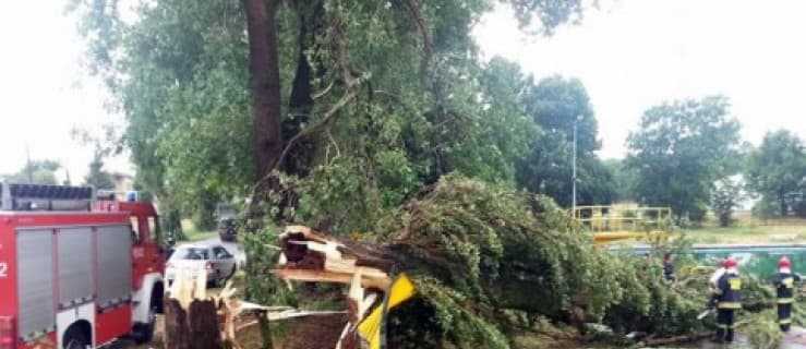 Nawałnica połamała drzewa [FOTO + WIDEO]