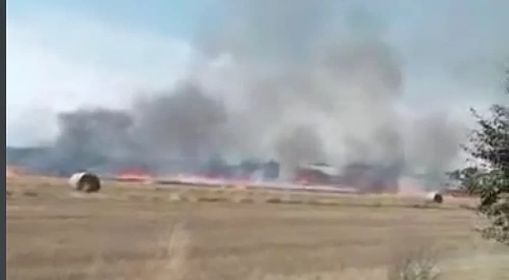Pożar na polu pod Jaraczewem. Strażacy w akcji