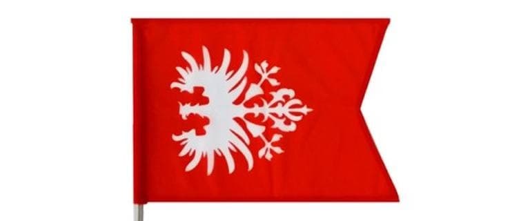 Uczcili jedno z ważniejszych powstań [GALERIA]