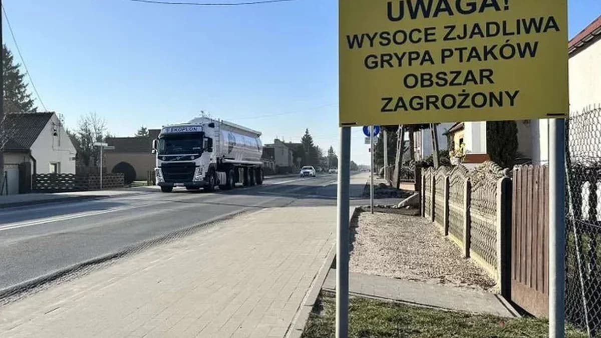 Wysoce zjadliwa ptasia grypa w sąsiednim powiecie. Sprawdziliśmy, z jakimi restrykcjami muszą liczyć się mieszkańcy