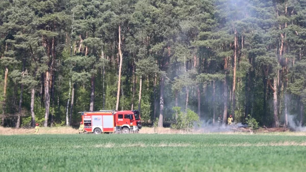 Wybierasz się do lasu? Leśnicy przestrzegają: Sytuacja jest niebezpieczna