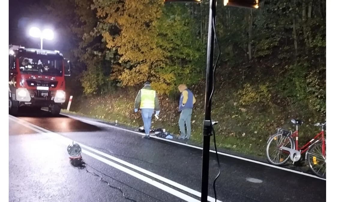 Jarocińska policja poszukuje sprawcy śmiertelnego wypadku na drodze 443
