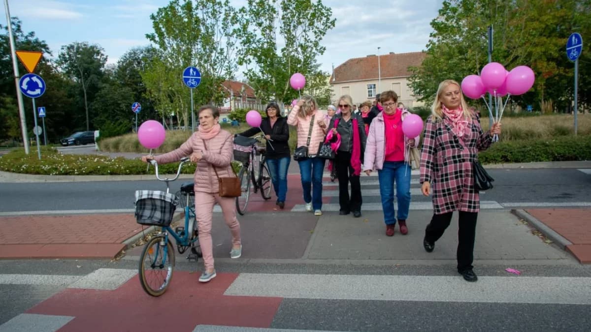 Powiat czeka na oferty, chce rozdać pieniądze organizacjom pozarządowym. Jest termin zgłaszania propozycji [SONDA]