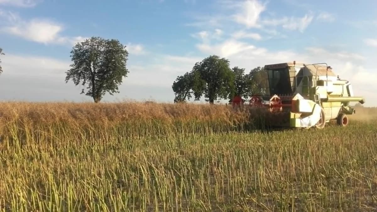 Żniwa ruszają. Jeden błąd może kosztować życie. Jest apel do rolników i kierowców