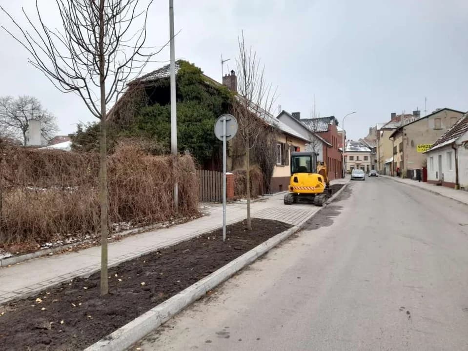 Rewitalizacja centrum Jarocina. Sadzą drzewa przy kolejnej ulicy [ZDJĘCIE]