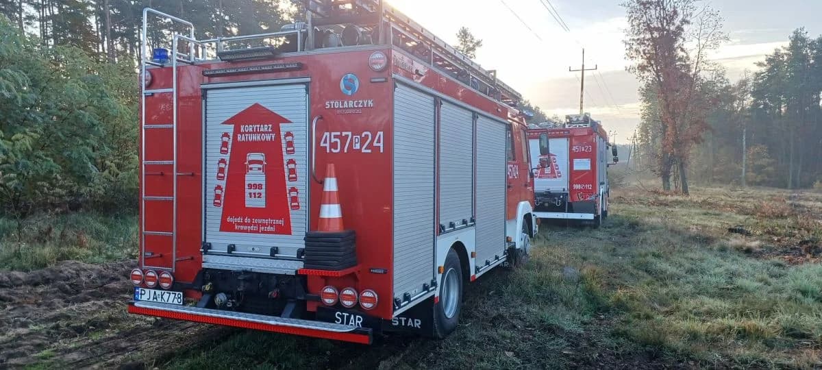 Śmiertelne potrącenie na torach pomiędzy Jarocinem a Mieszkowem