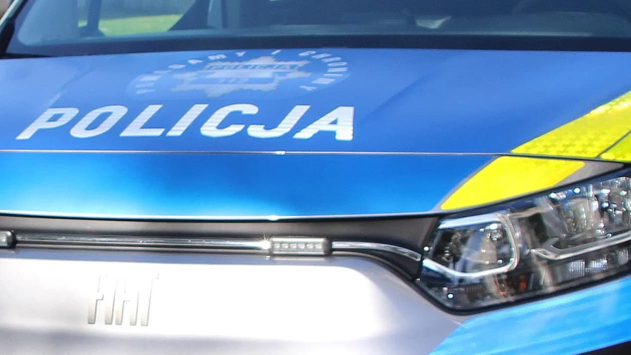 Uderzyła w drzewo, bo na drogę Zakrzew - Golina wybiegł pies