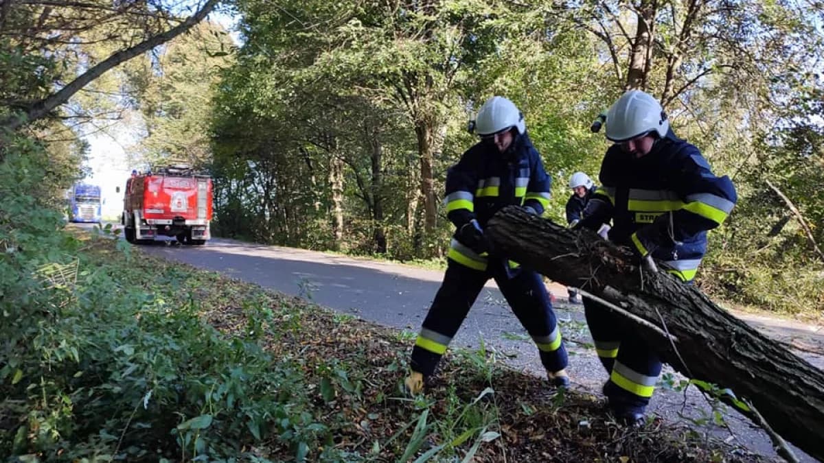 Rozdysponowali pieniądze na sprzęt dla strażaków OSP. Które jednostki otrzymają wsparcie?