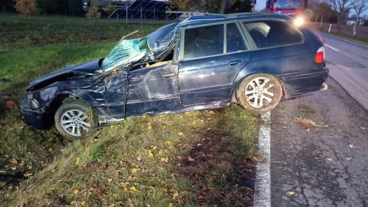 Niebezpieczny poranek na drodze. Kierowca chciał ominąć zwierzę. Razem z pasażerką trafili do szpitala.