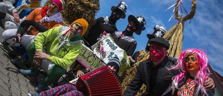 Niedźwiedzie 2018 - zagłosuj na najlepsze zdjęcie!