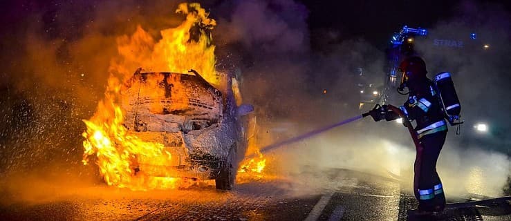 Wypadki, kot na drzewie, krowa uwięziona w szambie. Strażackie podsumowanie tygodnia