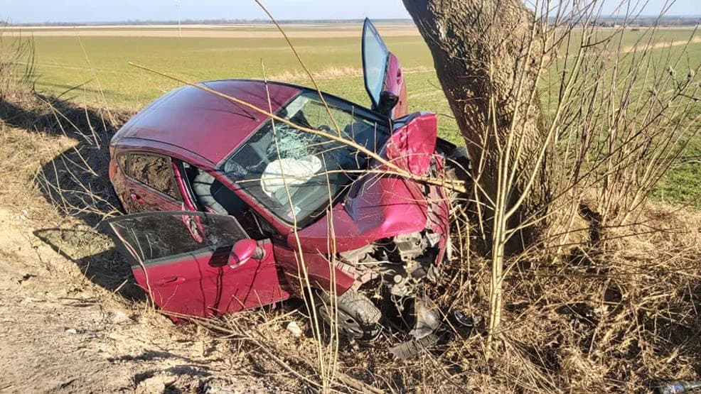 Zdarzenie drogowe w Żerkowie. Zderzenie z drzewem