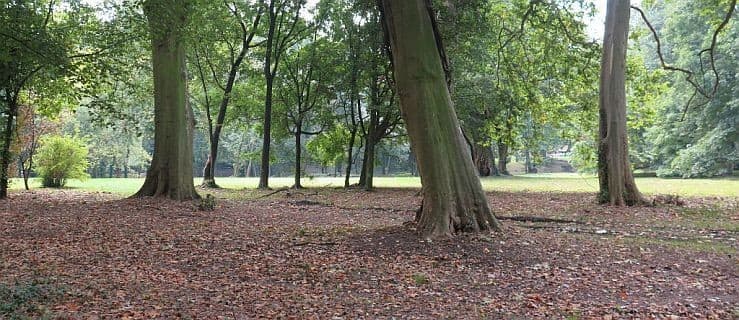 Fundusz dał pieniądze na park w Jarocinie. Urzędnicy sprawdzili, jak je wykorzystano